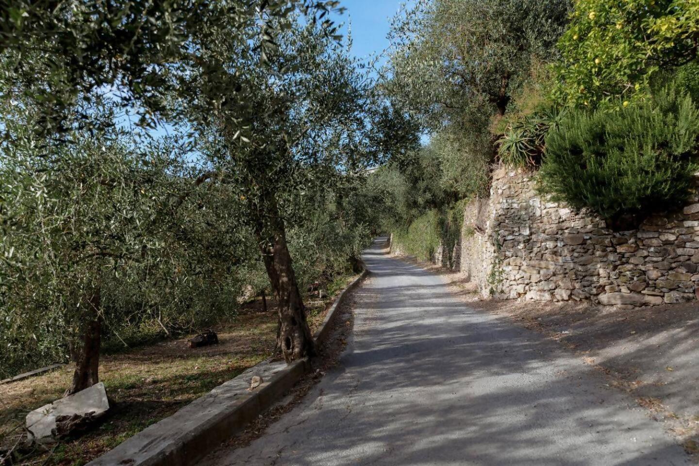 Appartamento Alba Dachi Farm Marina dʼMarina dʼAndora Extérieur photo