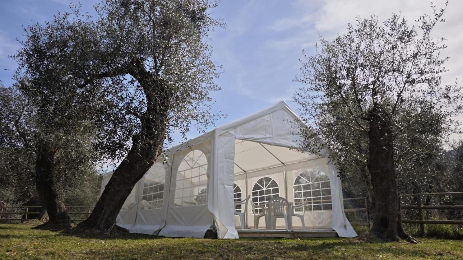 Appartamento Alba Dachi Farm Marina dʼMarina dʼAndora Extérieur photo