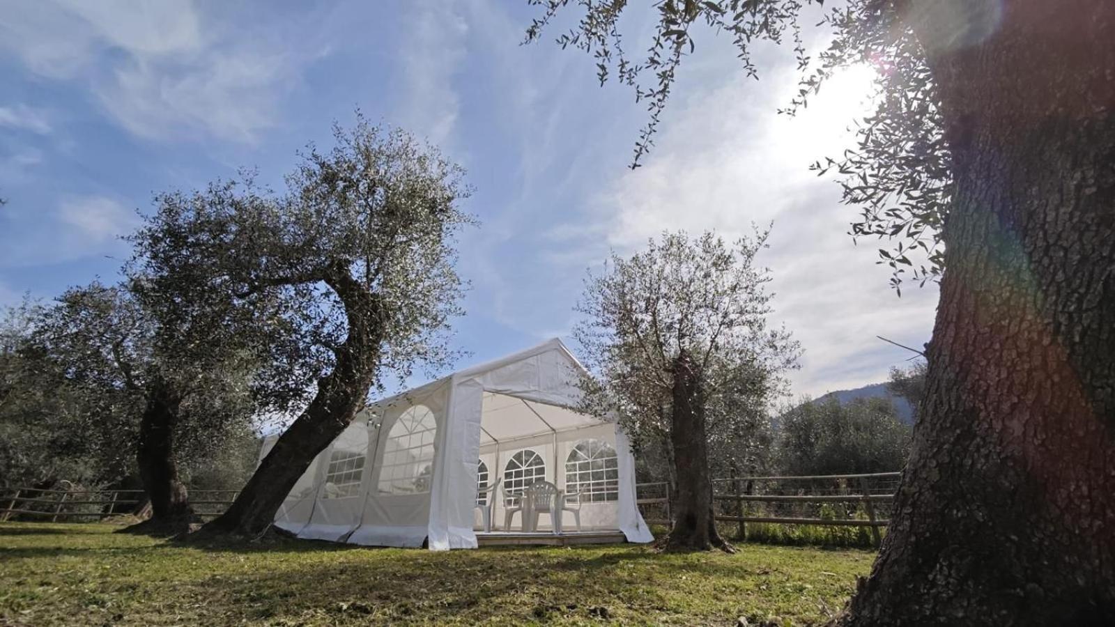 Appartamento Alba Dachi Farm Marina dʼMarina dʼAndora Extérieur photo